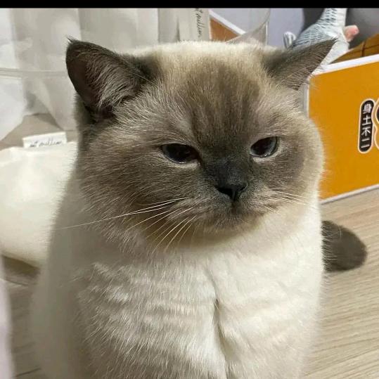 顾虑
