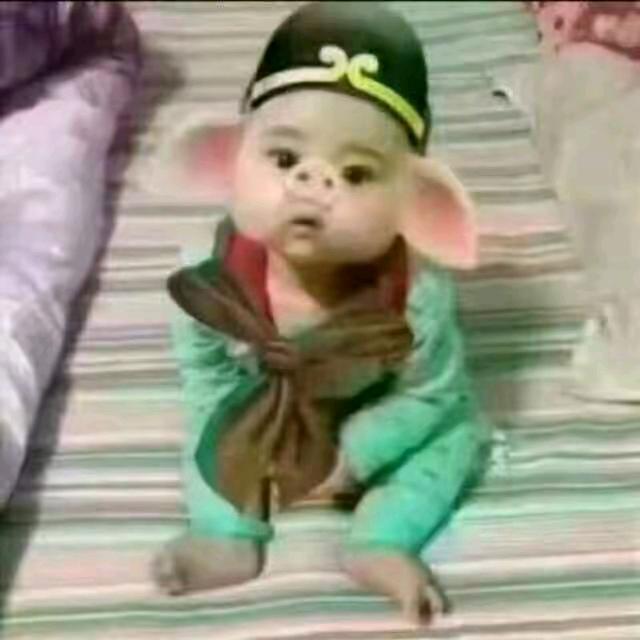 余生随心