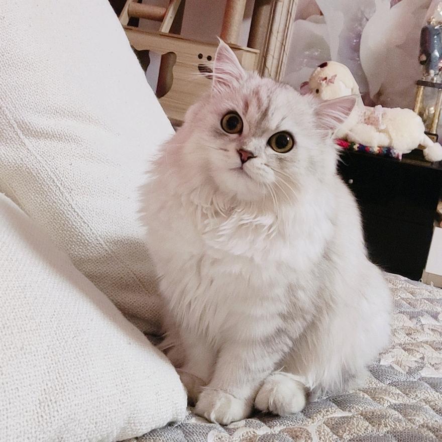 会飞的蚂蚁ヾ(＾。^*)⁹²⁰⁸