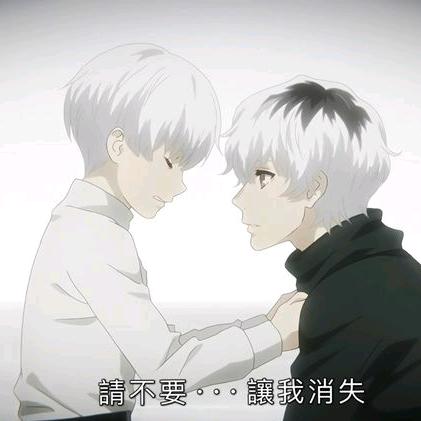 斐肖莉莉的直播号
