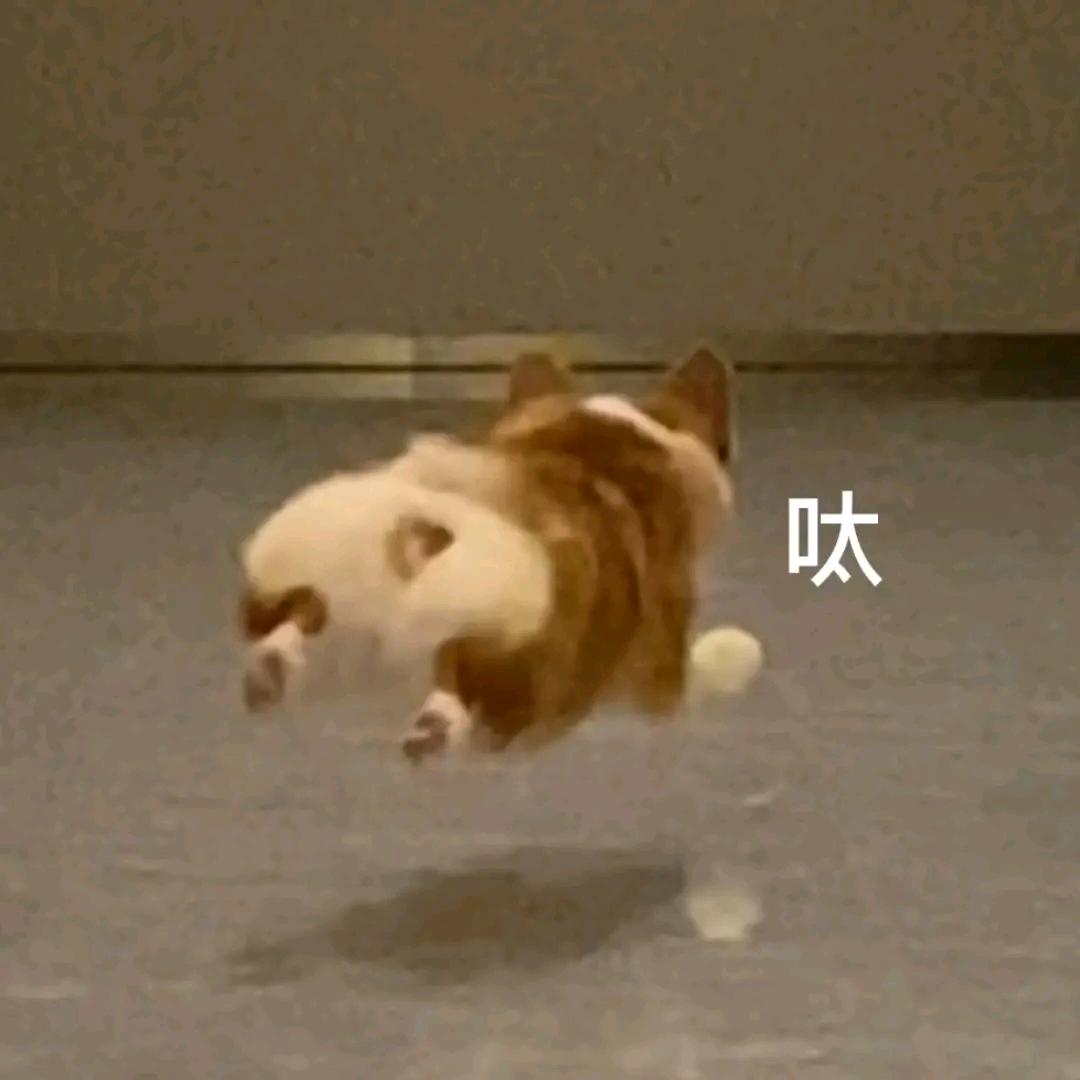 失去名字的用户🏸