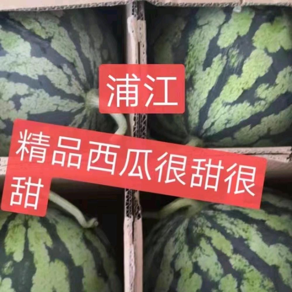 正焕浦江农芙果园