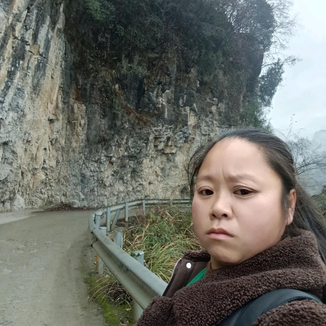 随风起舞
