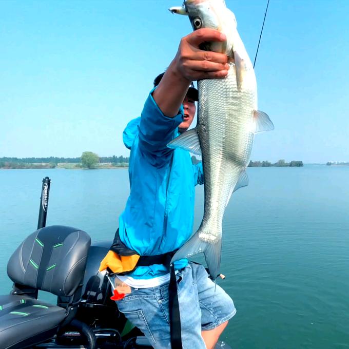 大师钓鱼那些事