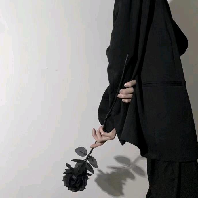 婪清