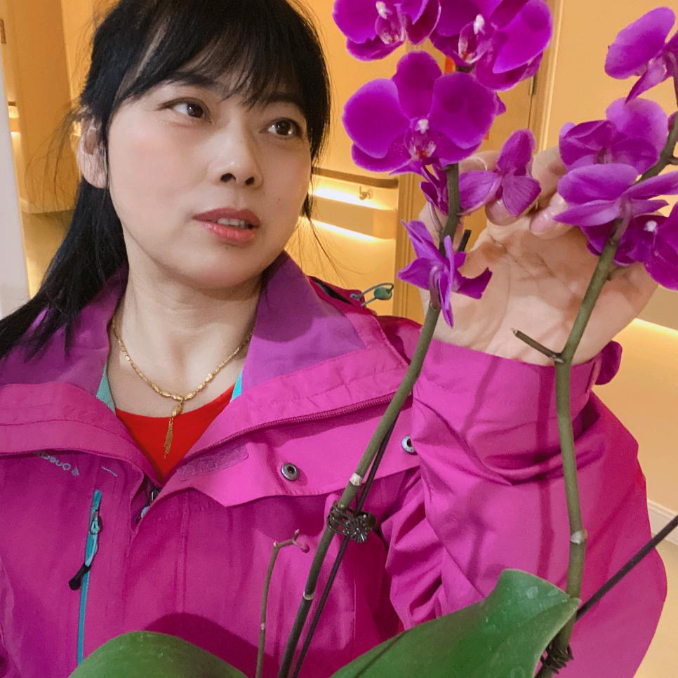 顺其自然