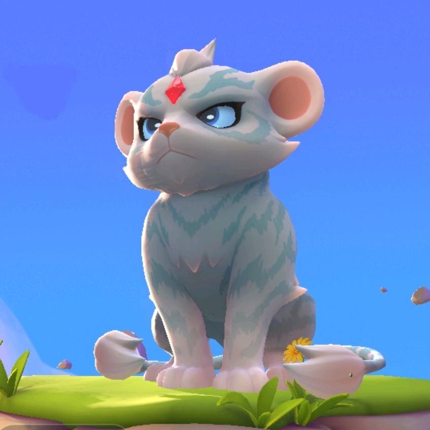 金铲铲之铲不净