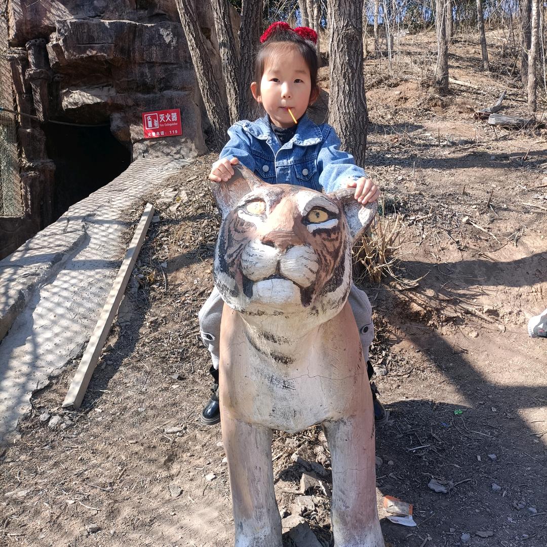 不樊人的小妖精