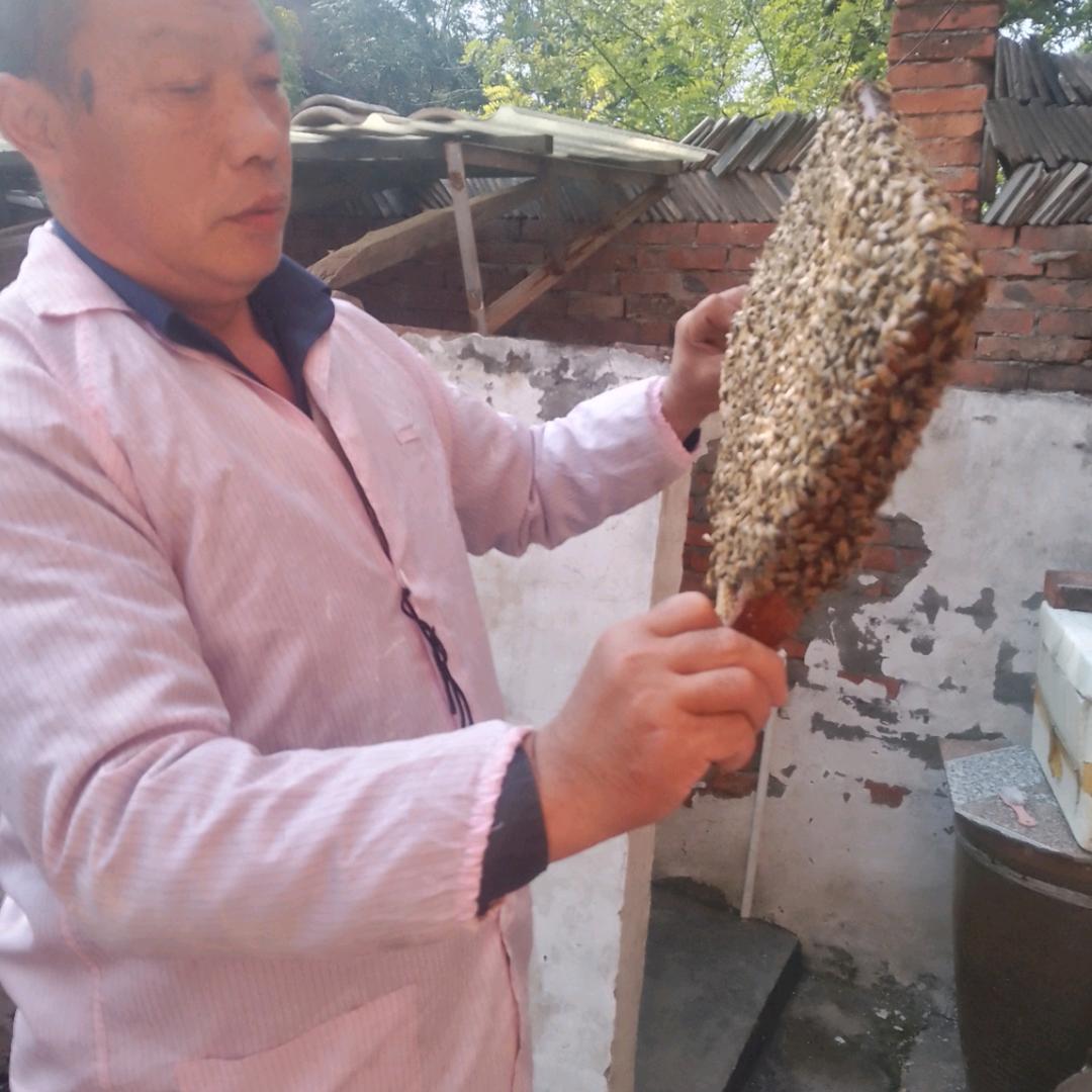 纯蜂蜜自产自销