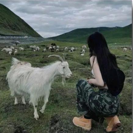 ♛悦悦爱吃糖♛