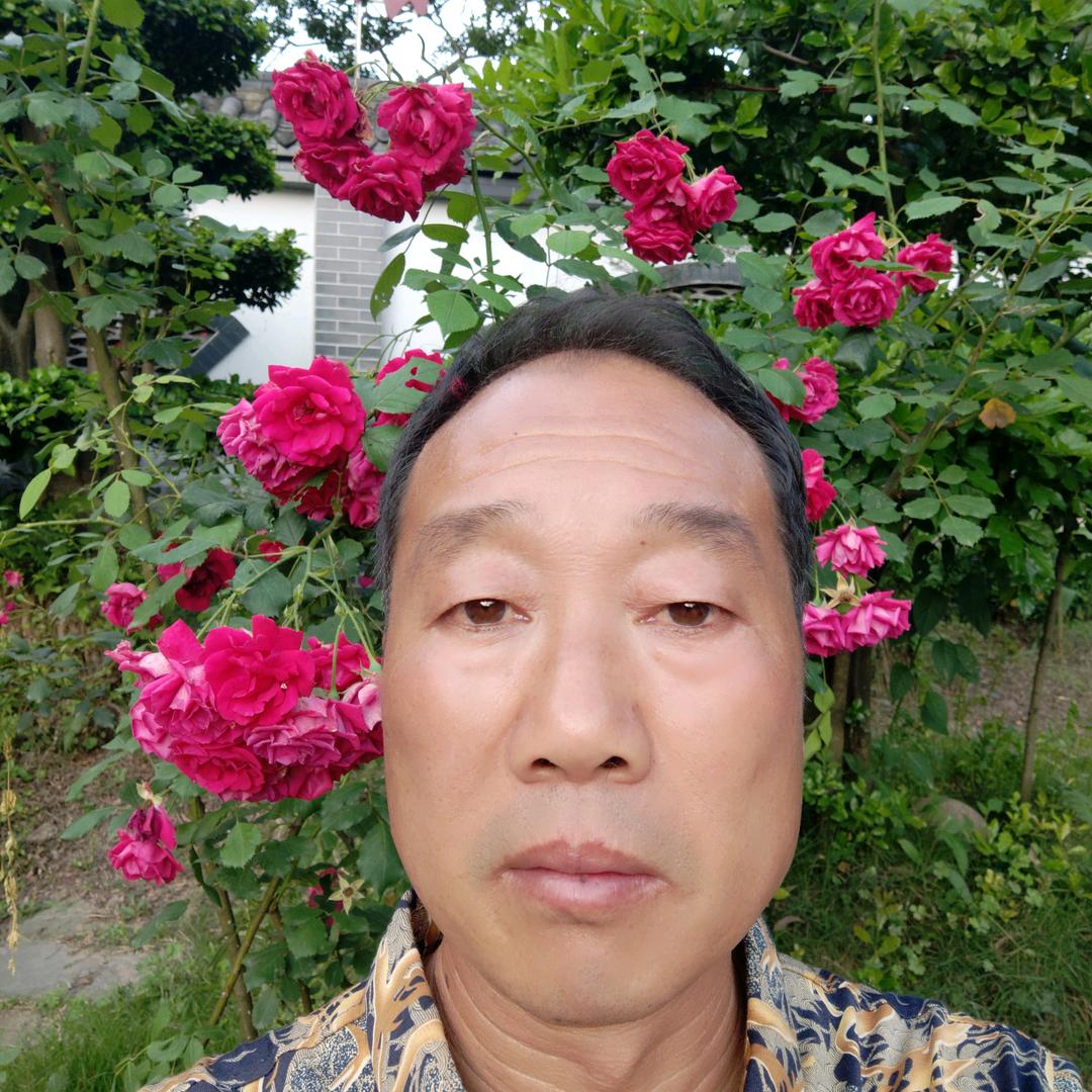 猴艺飞舞