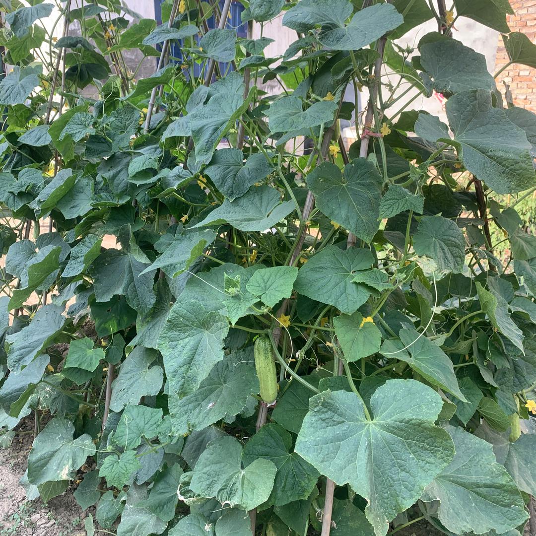 小明同学爱分享