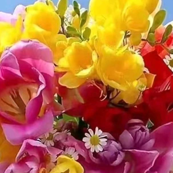 帅哥德柱乐于生活