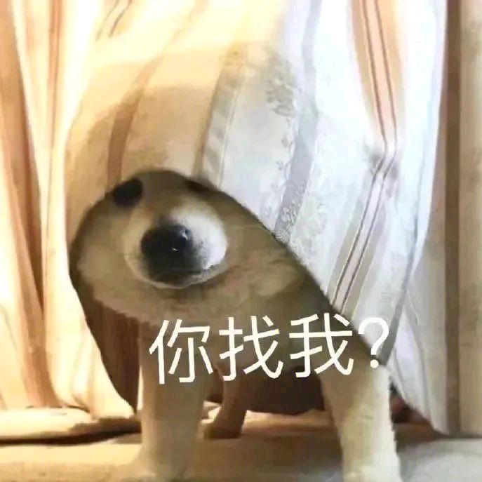 聚财的鸭脖