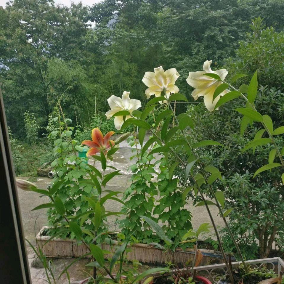 财源滚滚来