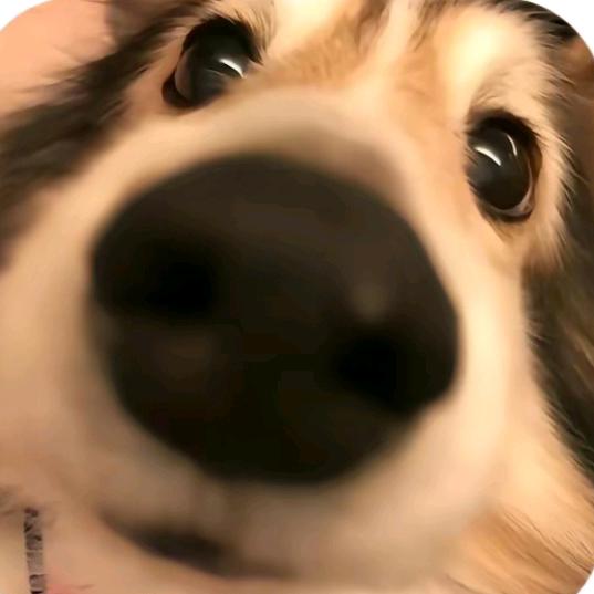 宇宙超级无敌炫酷霹雳暴龙战士