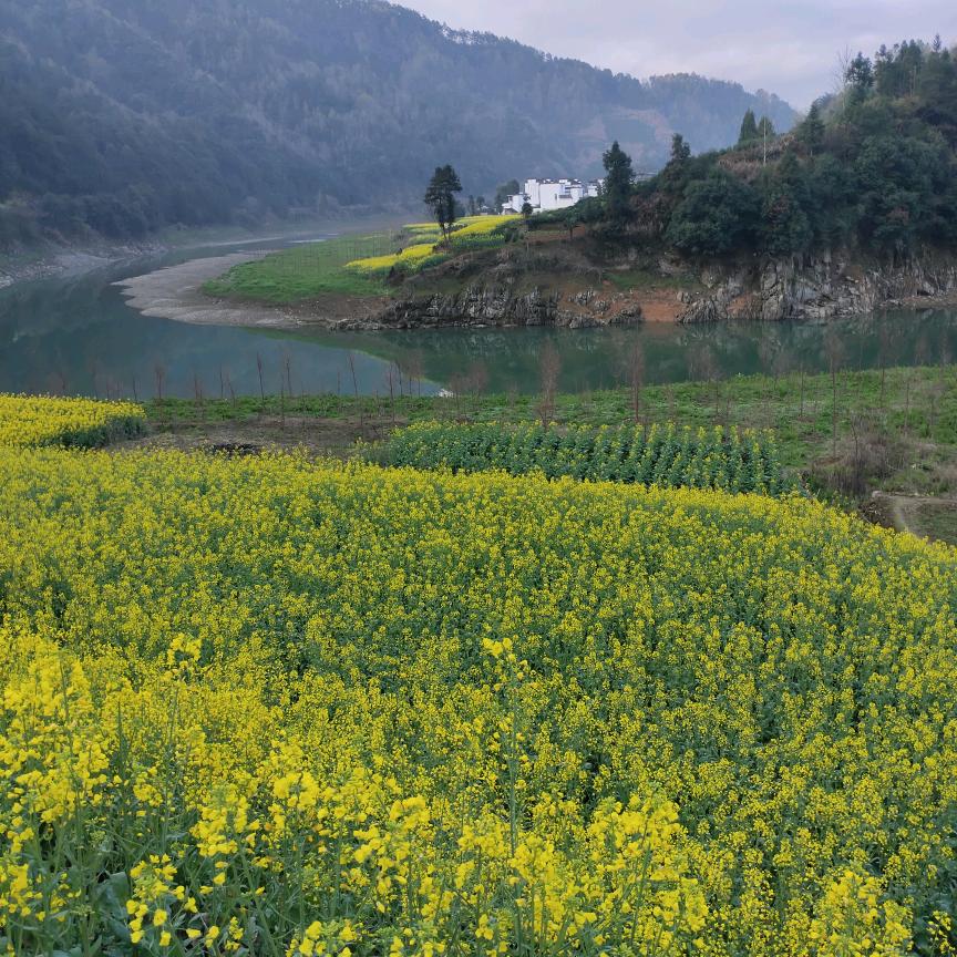 👀路在前方🐟