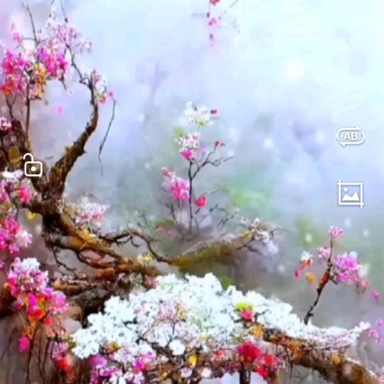 汪庭翠！ ？