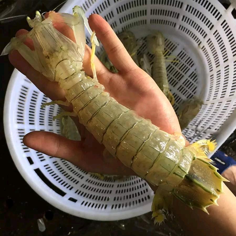 奔跑的海鲜迎胜路七里店