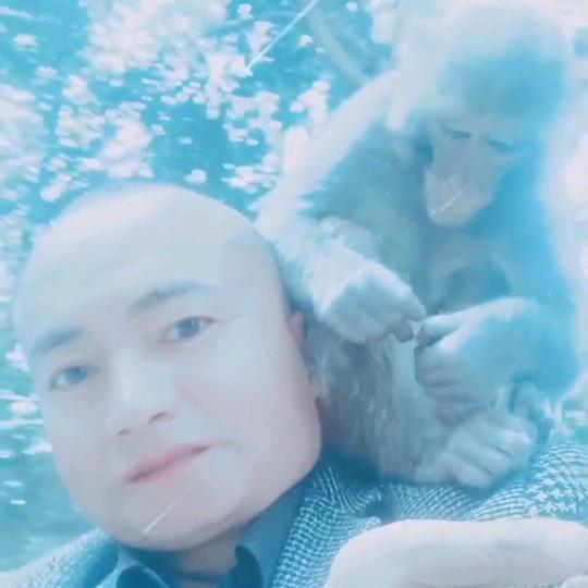 我宁愿孤独也不将就《请勿莲赞》