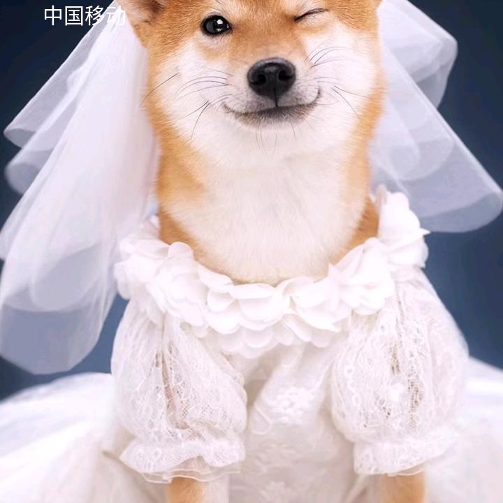 捂住眼睛，确当不住泪水