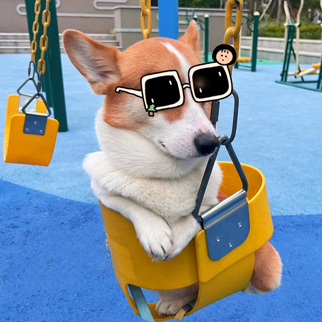 baron小短腿の日常