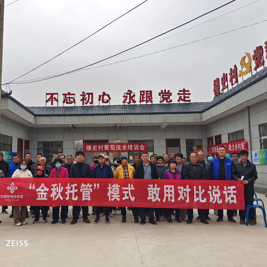 陕西渭南金秋现代农业～旗粒思(供销社)