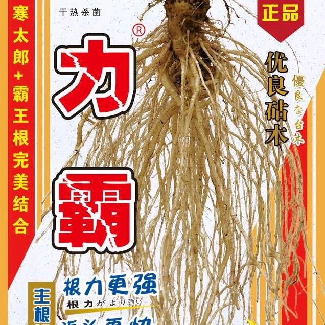寿光市津研种苗有限公司
