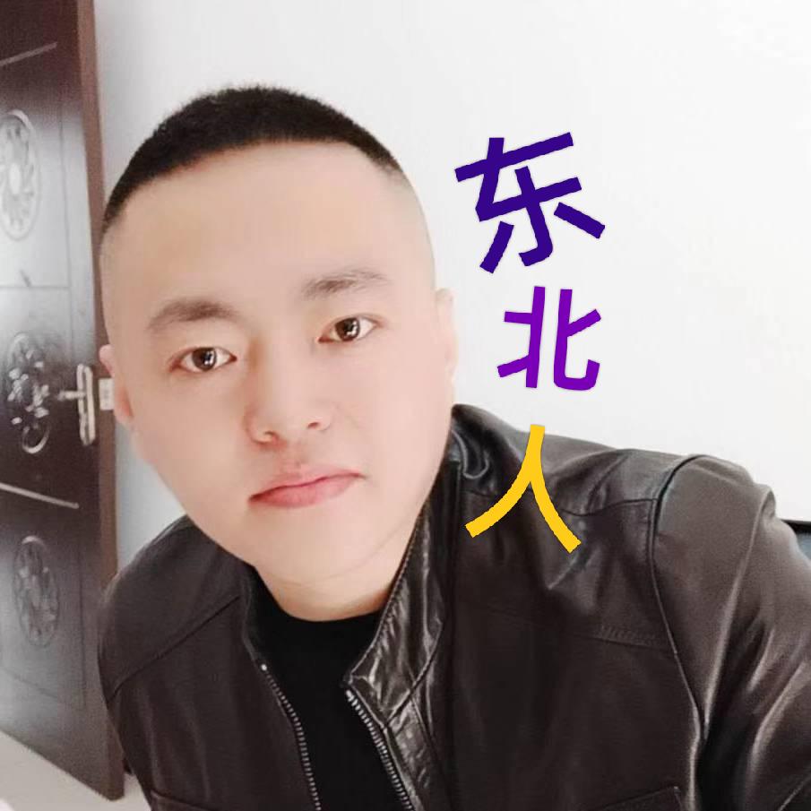 东北话翻译（龙哥）