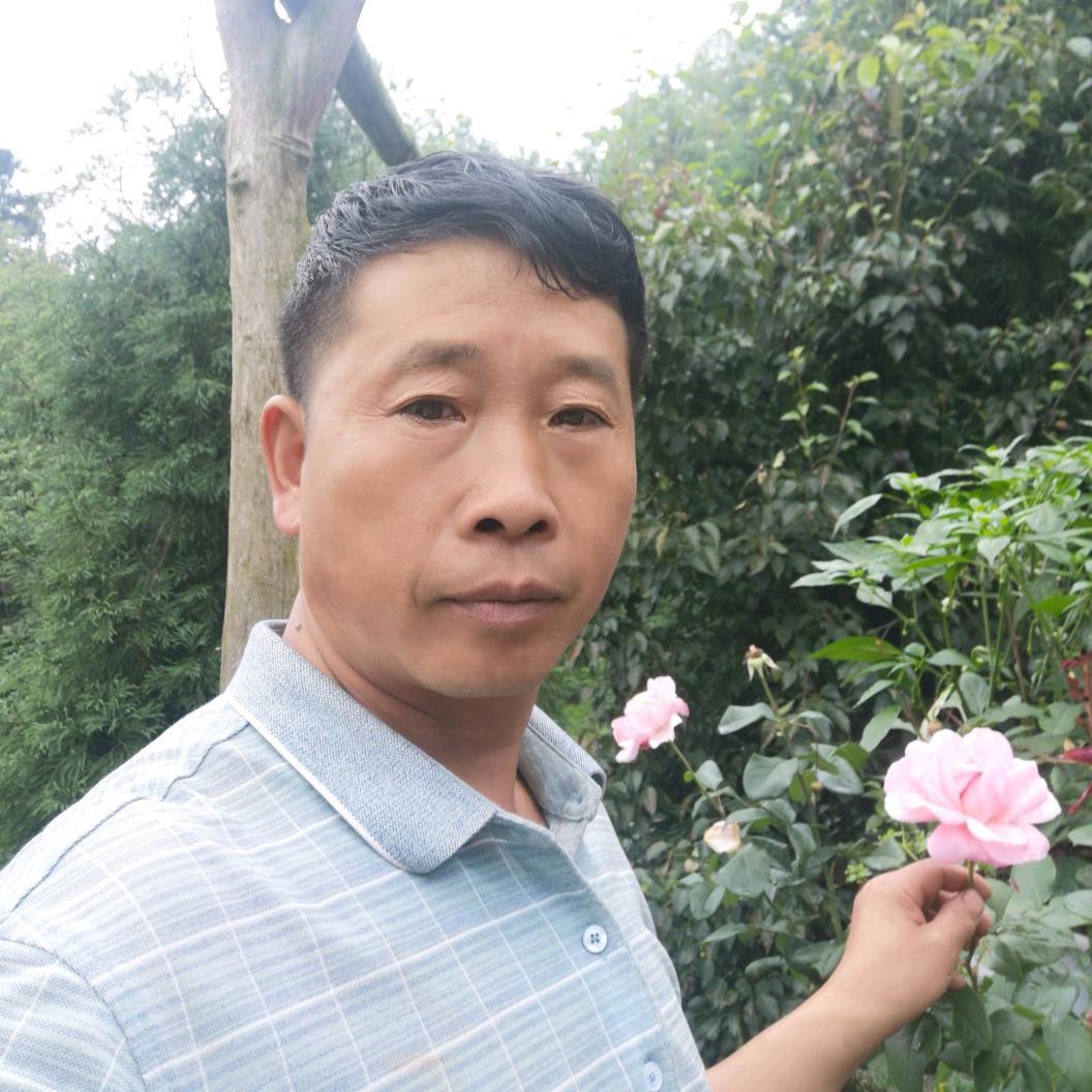 心想事成，宋佳洪