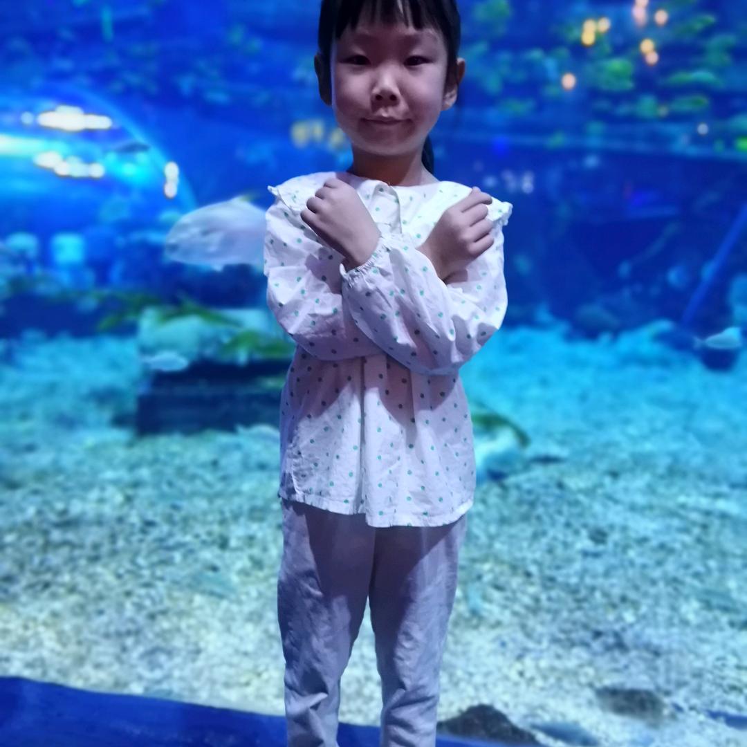 六六外婆