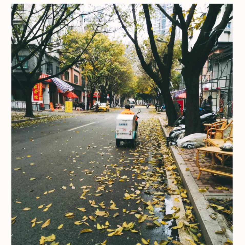 李