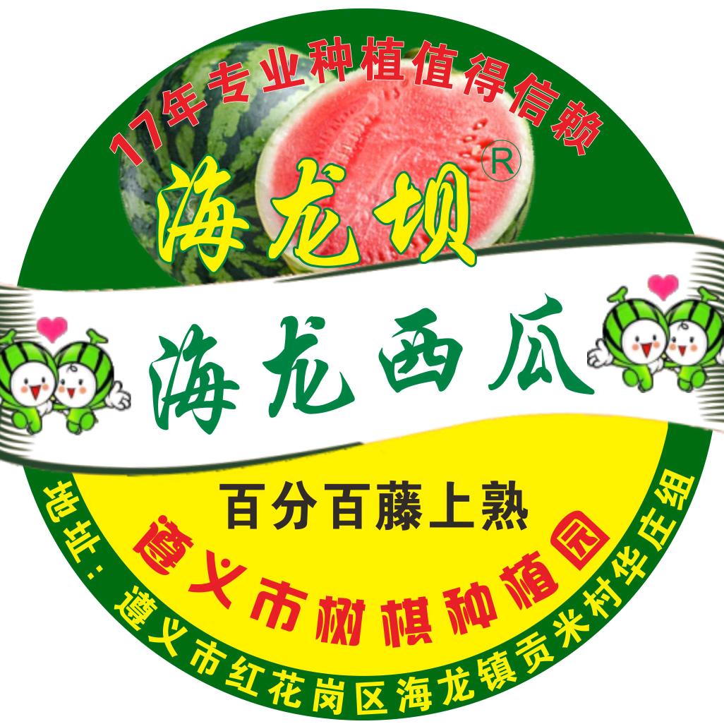 遵义市树棋种植园