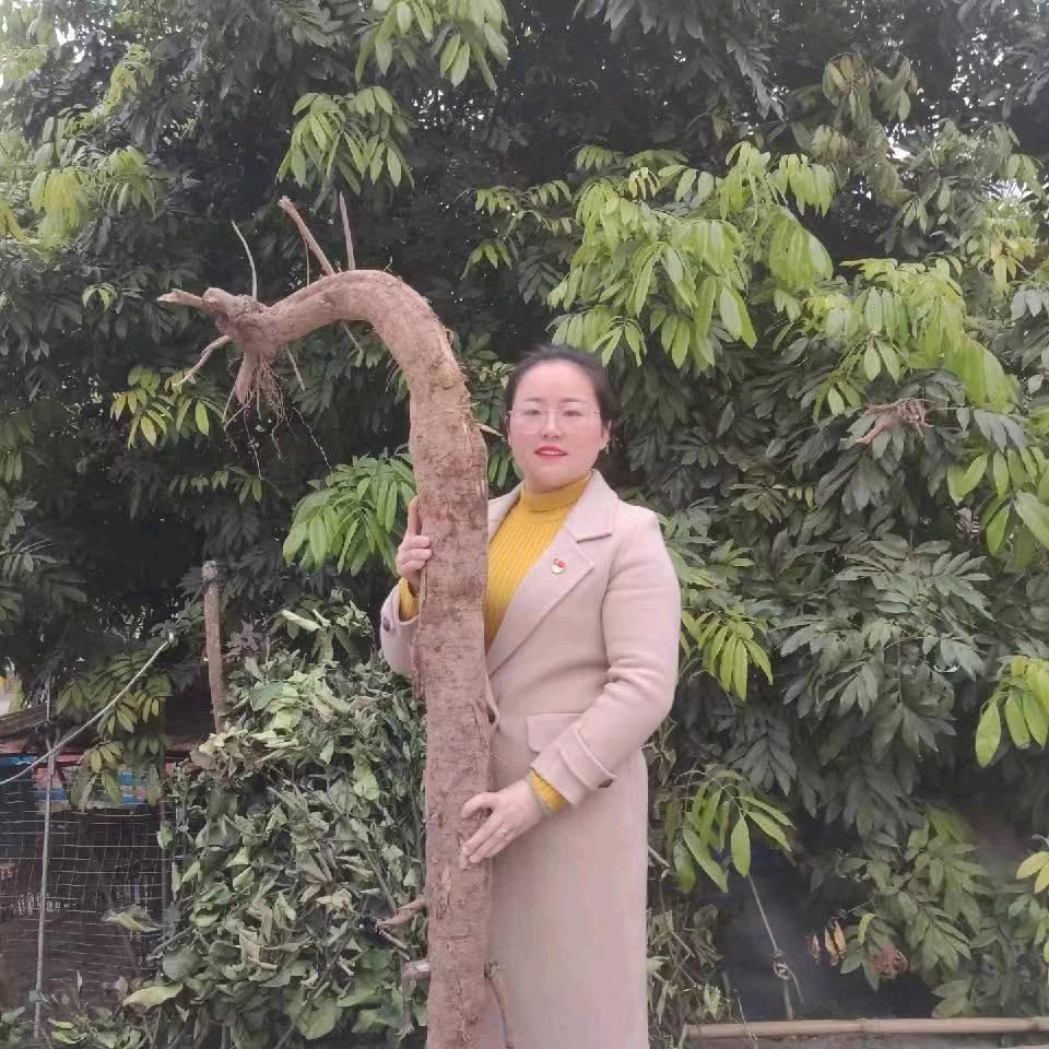 五桥关书记农副优选