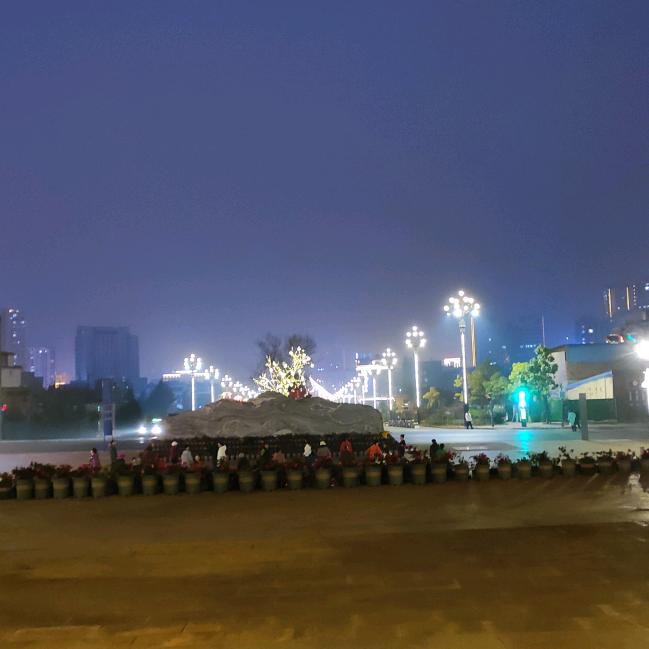维