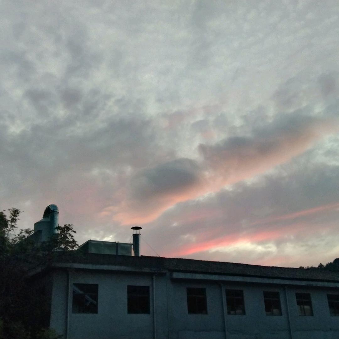 君玥泽