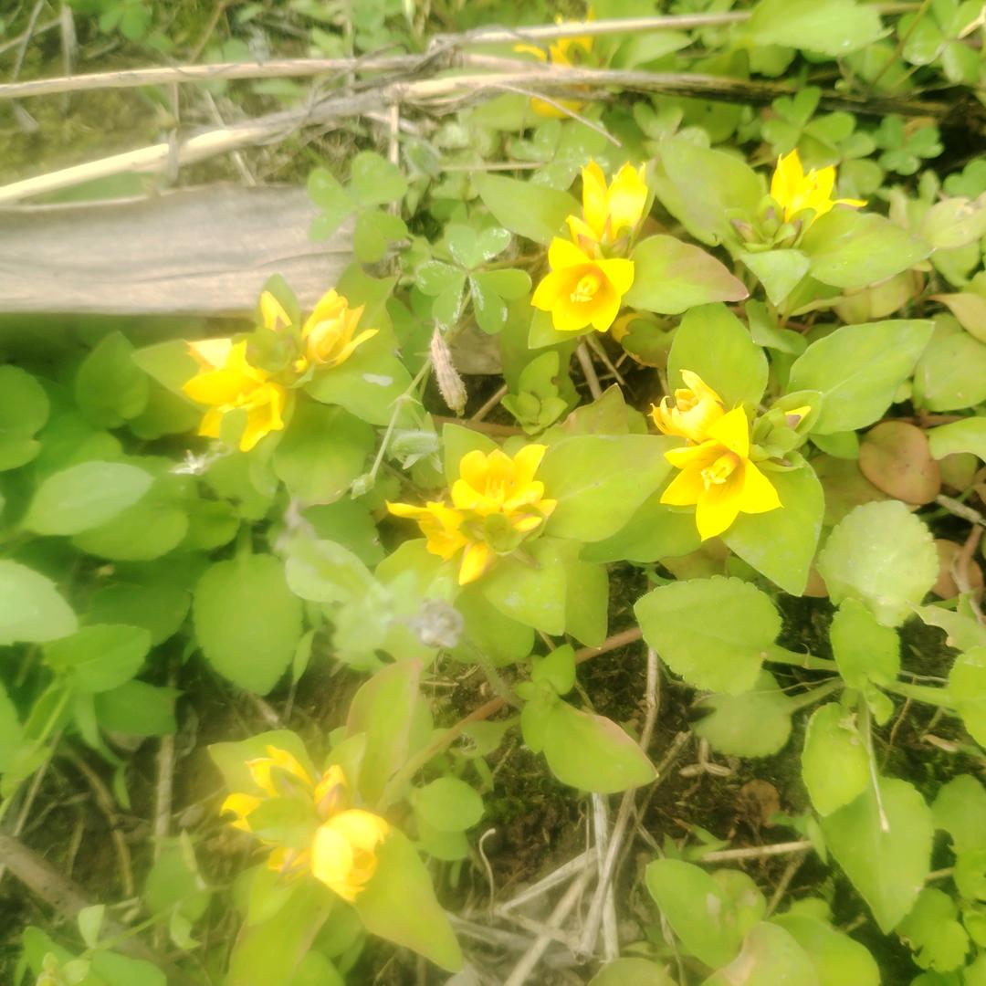 开开心心每一天