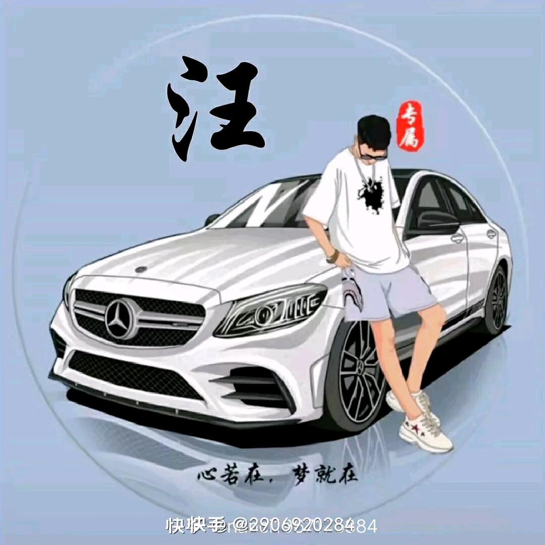 中药材种植，当归，党参小汪