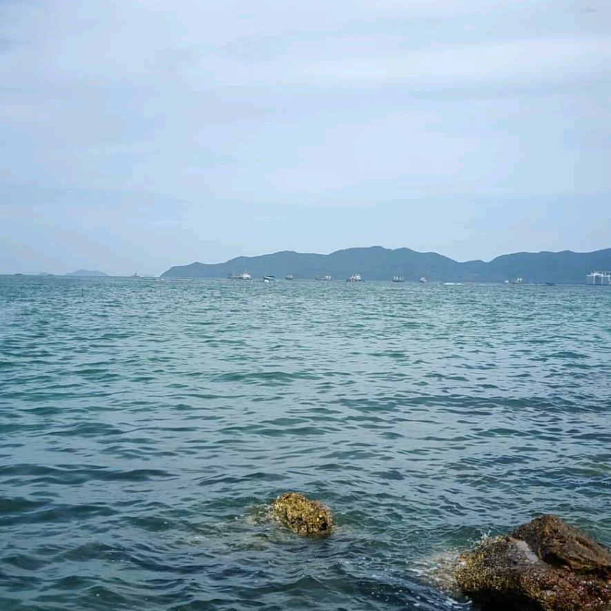 🌲🐠独钓寒江🐉🐉🍁🍁