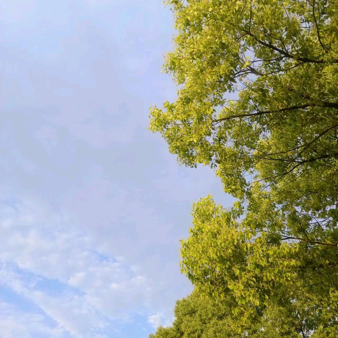 小燕.