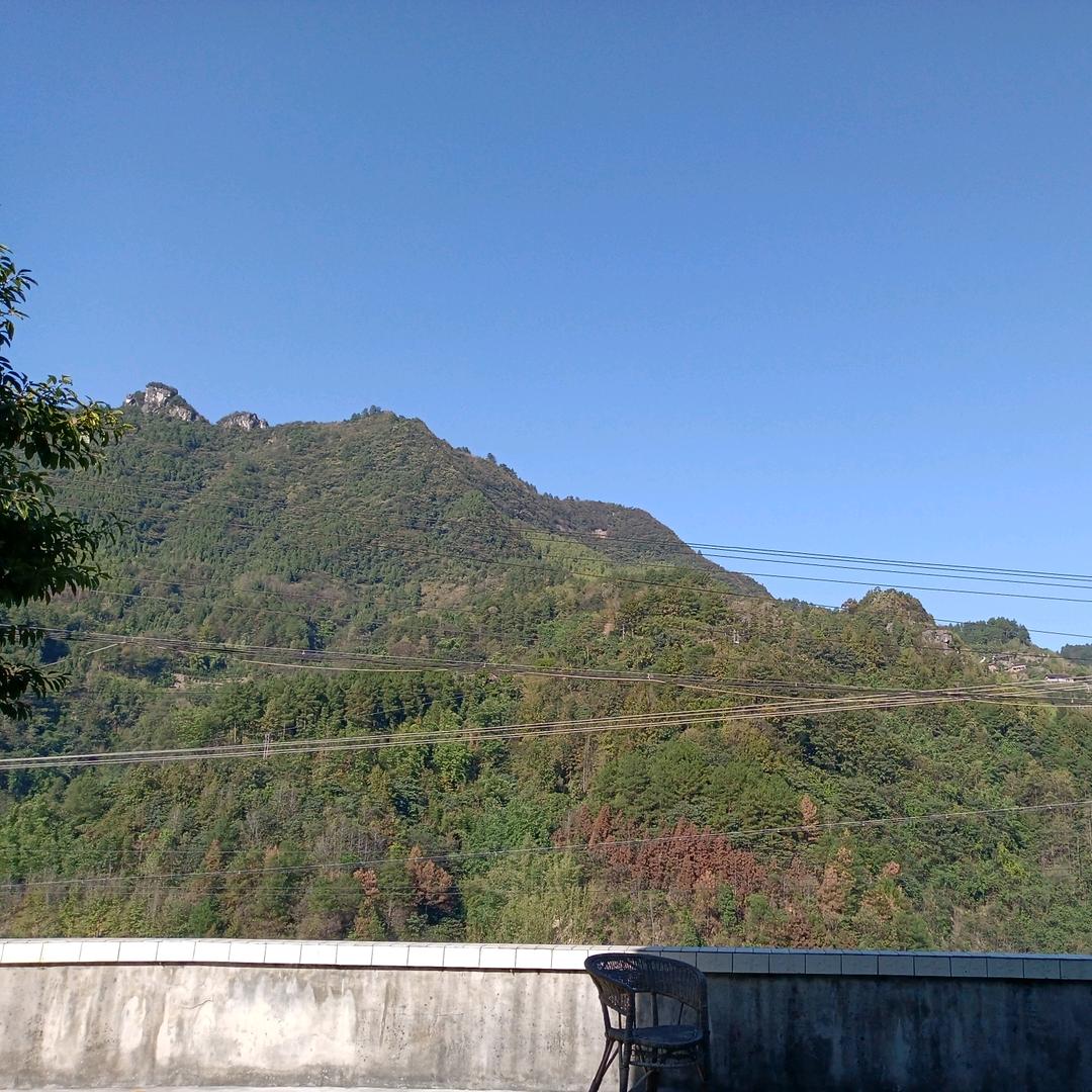 杨姐