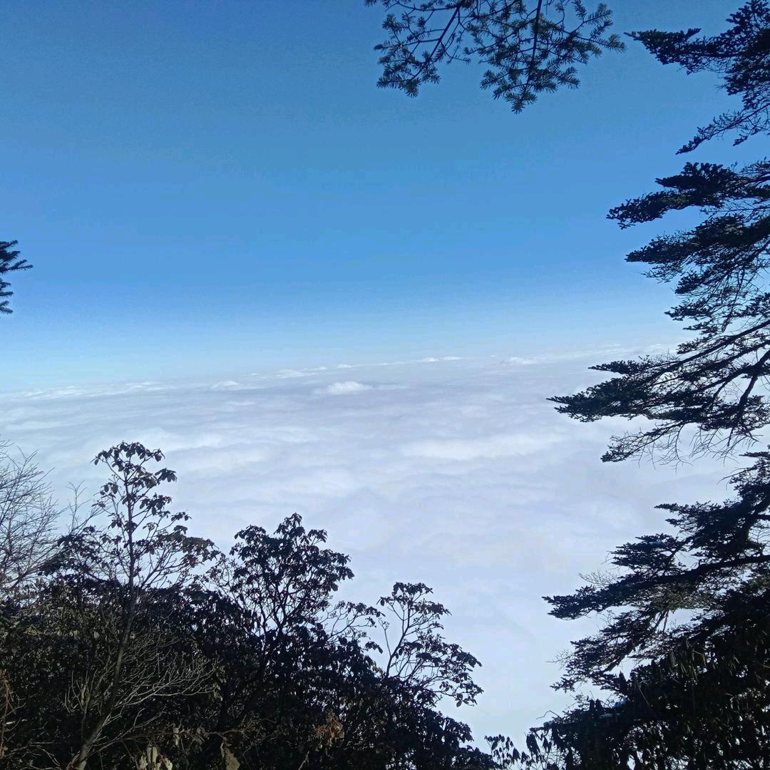 清闲