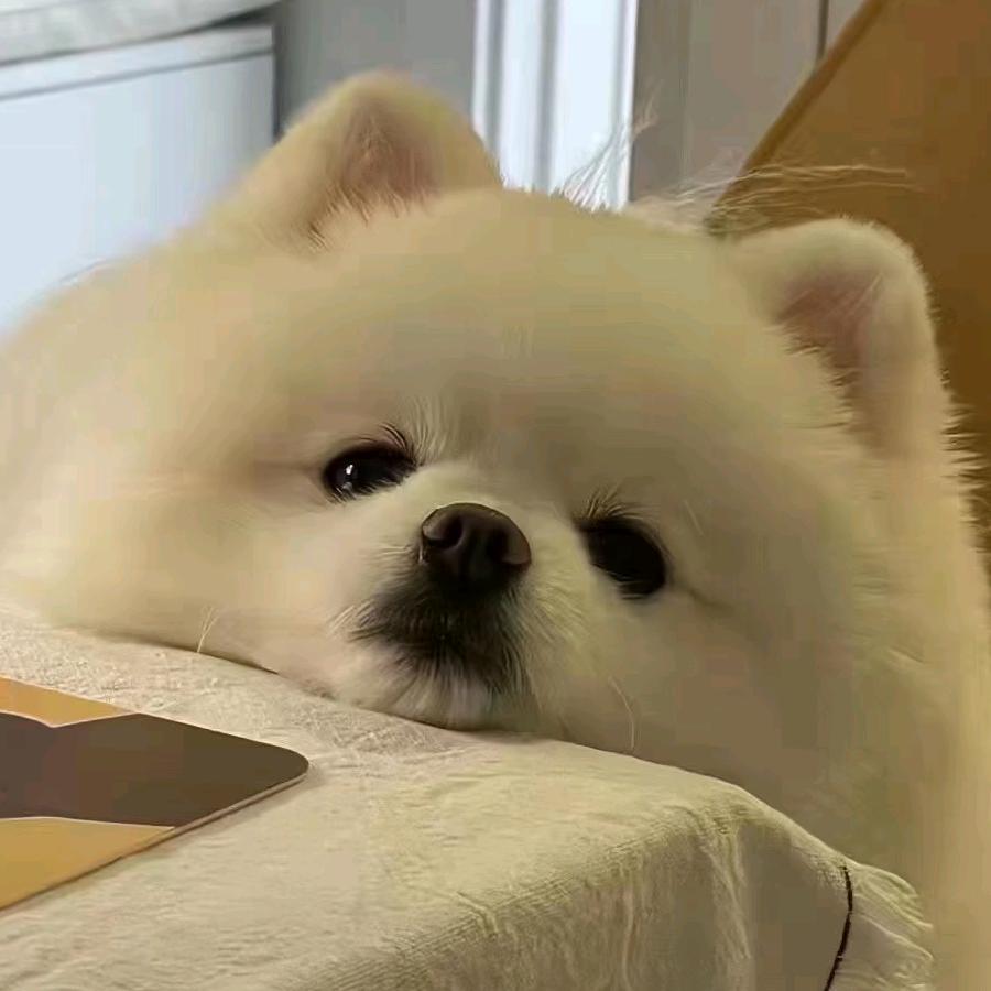 曌♚