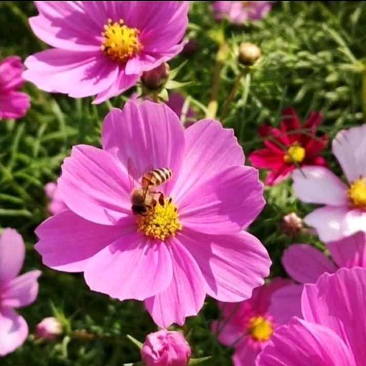 三丫私服工厂店