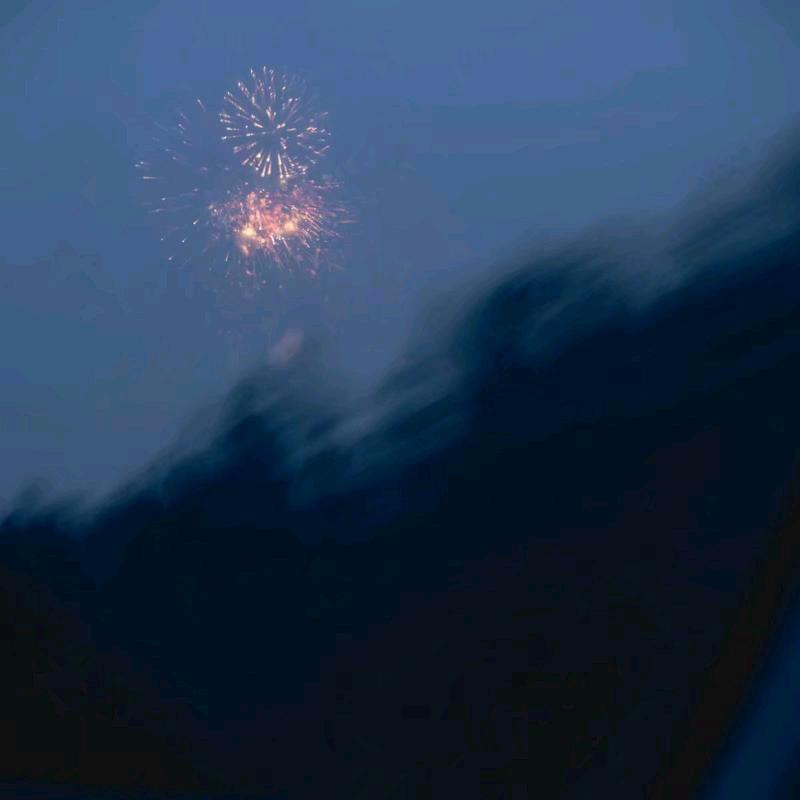 池中物。