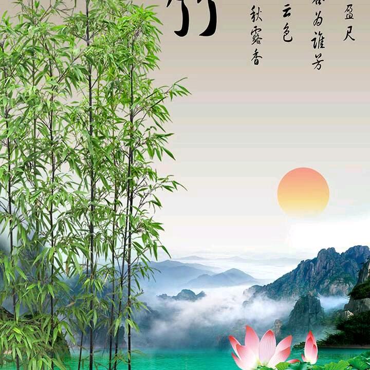 有来有趣