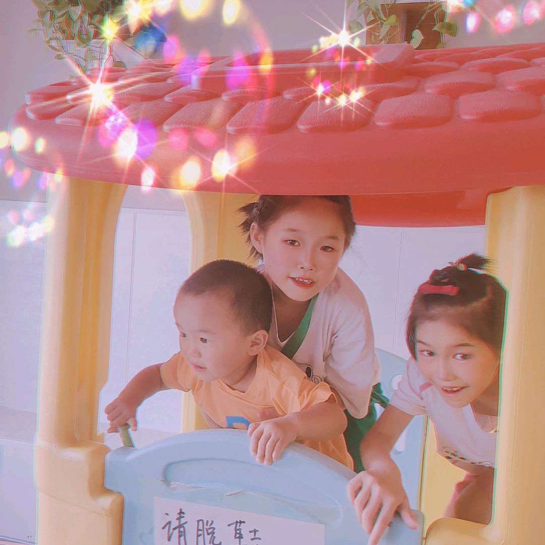 蝶落凡尘