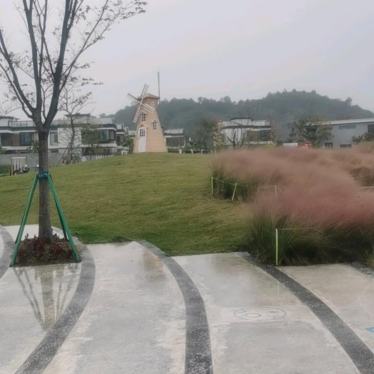 无花果
