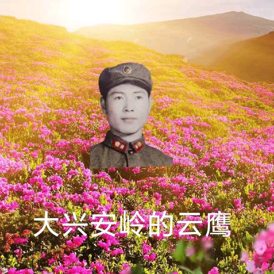 宽甸云鹰