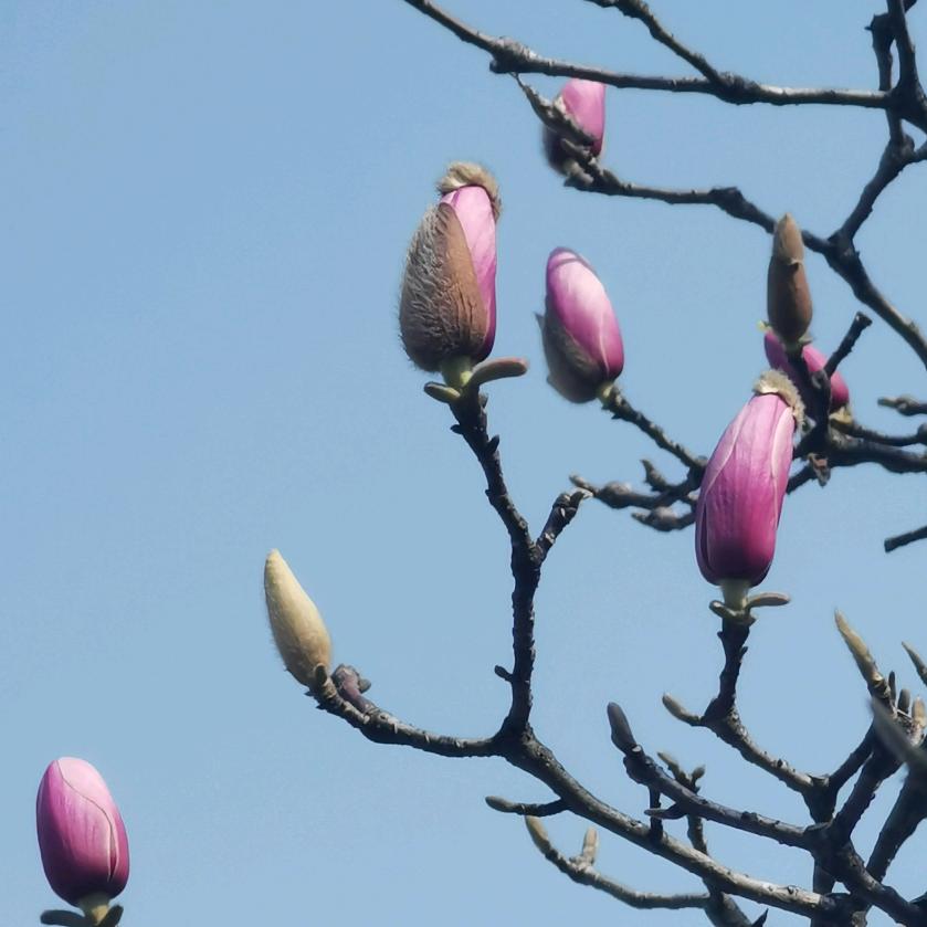 春水（原创诗词）